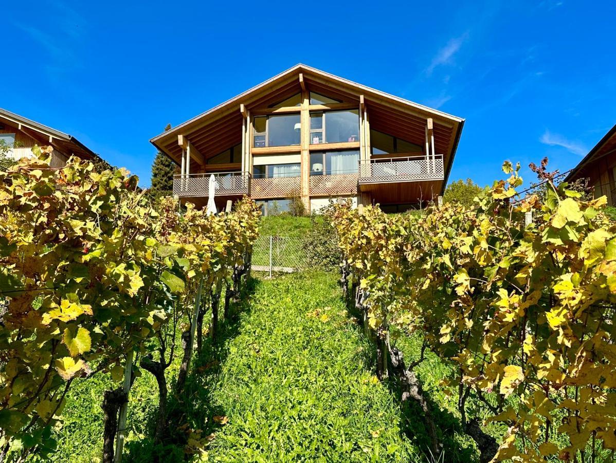 Seaside-Lodge, Top Apartment Spiez Exteriér fotografie